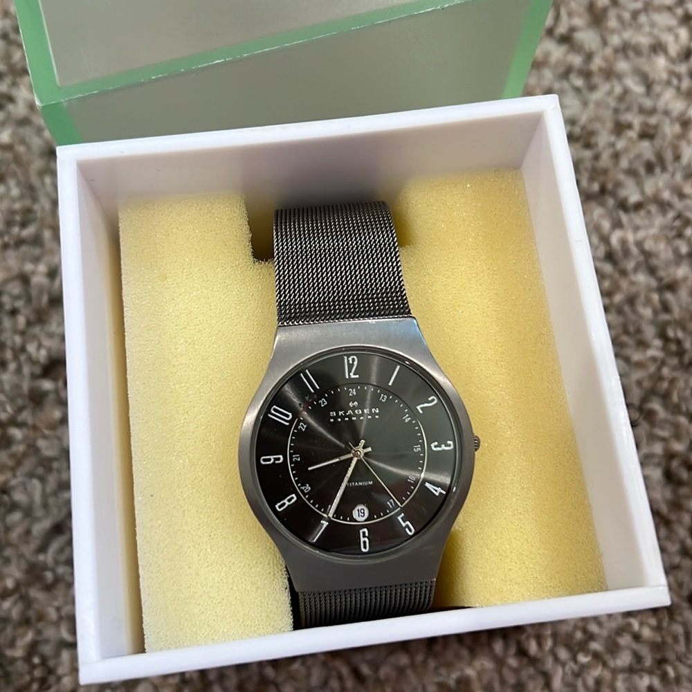 Skagen men’s watch